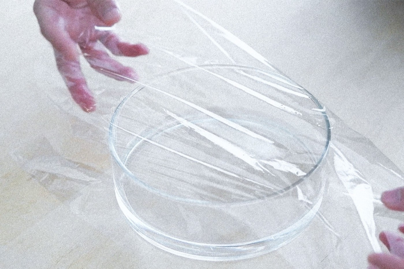 Light-Paper booklet laid flat